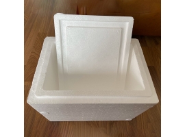 泡沫箱在物流运输中通常用于哪些物品的保护？