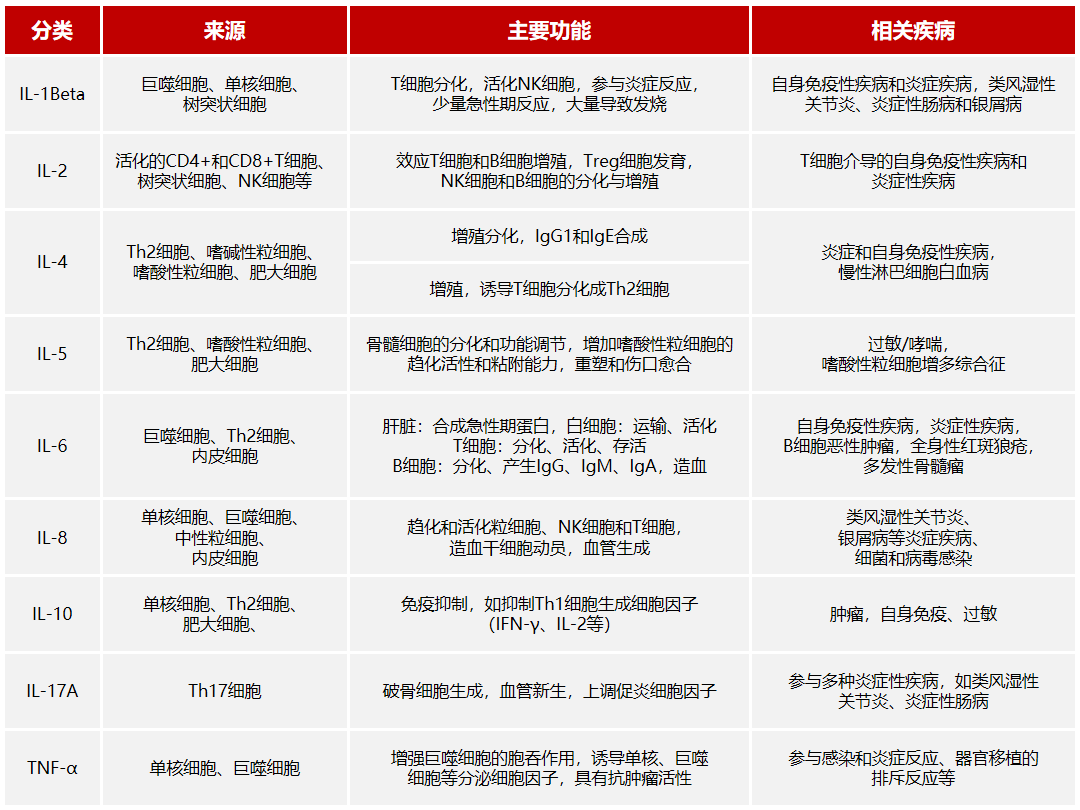 亚洲体育app下载