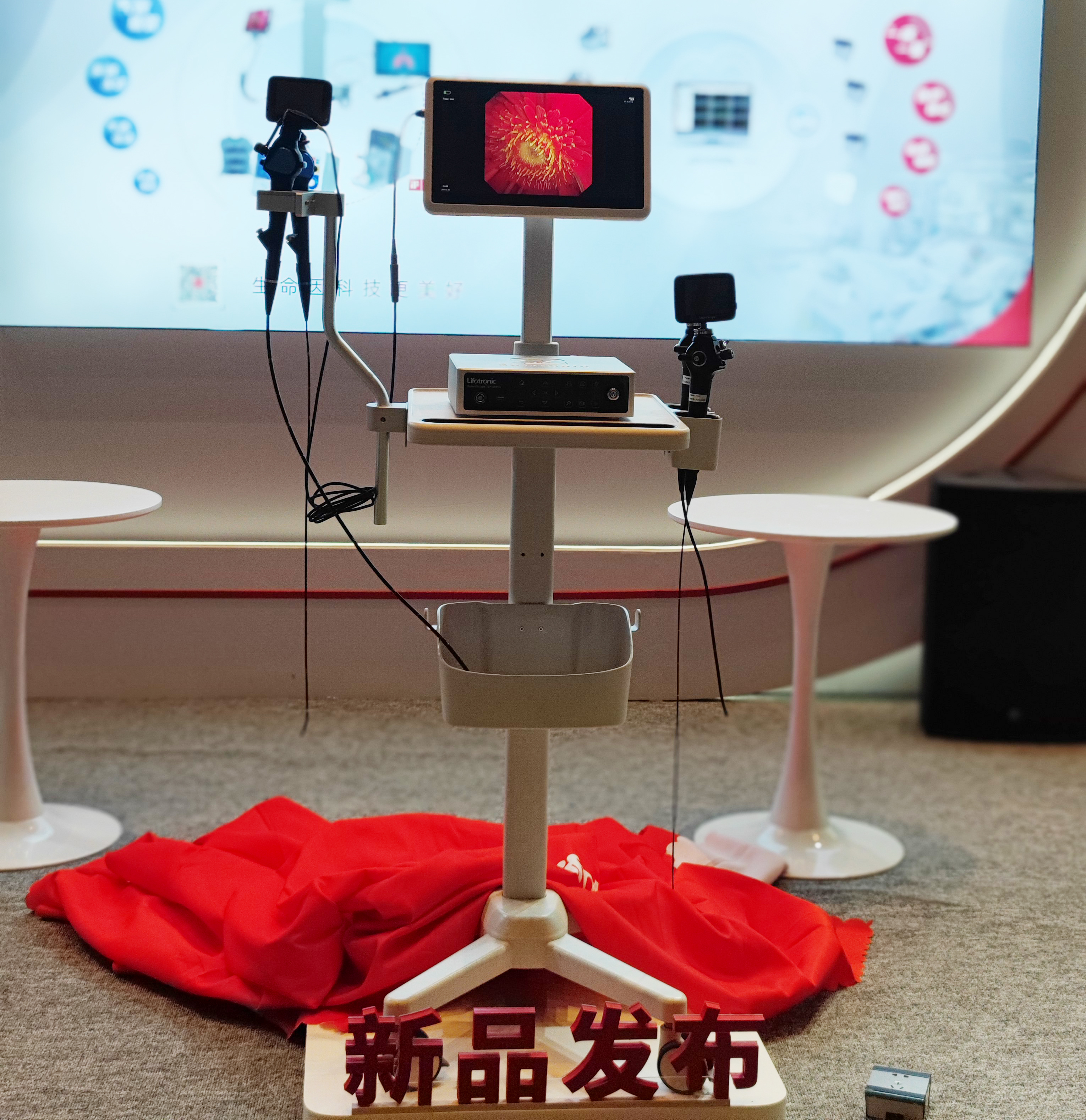亚洲体育app下载