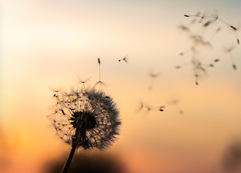 亚洲体育app下载