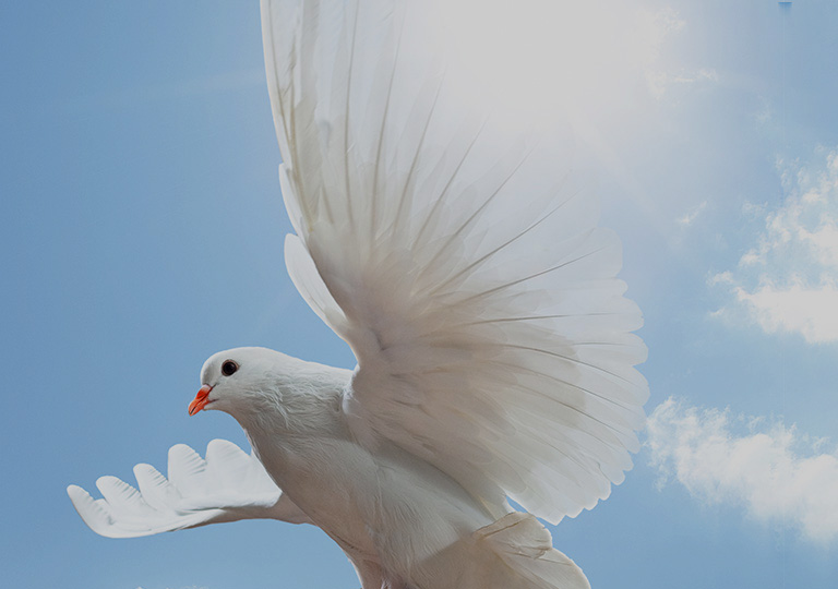 亚洲体育app下载