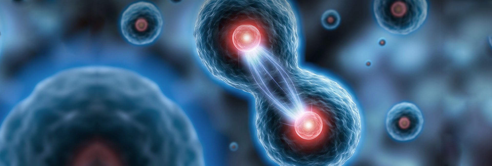 亚洲体育app下载