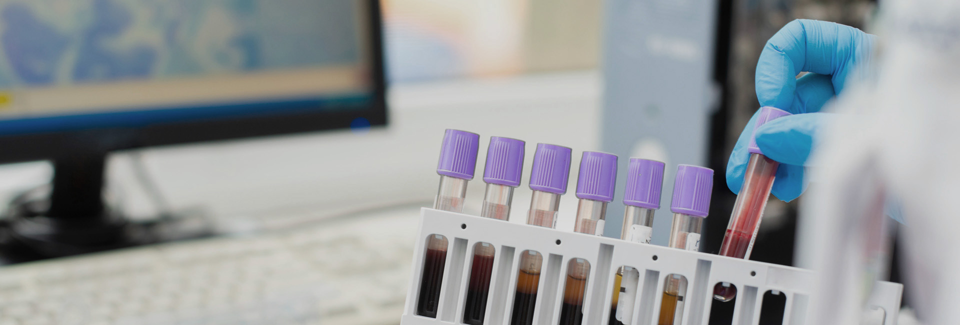 亚洲体育app下载