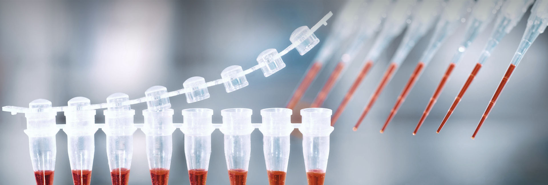 亚洲体育app下载