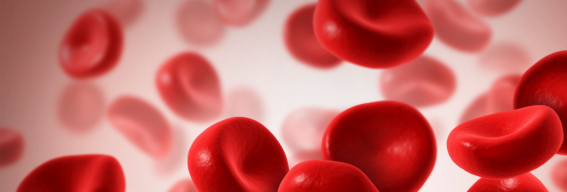 亚洲体育app下载