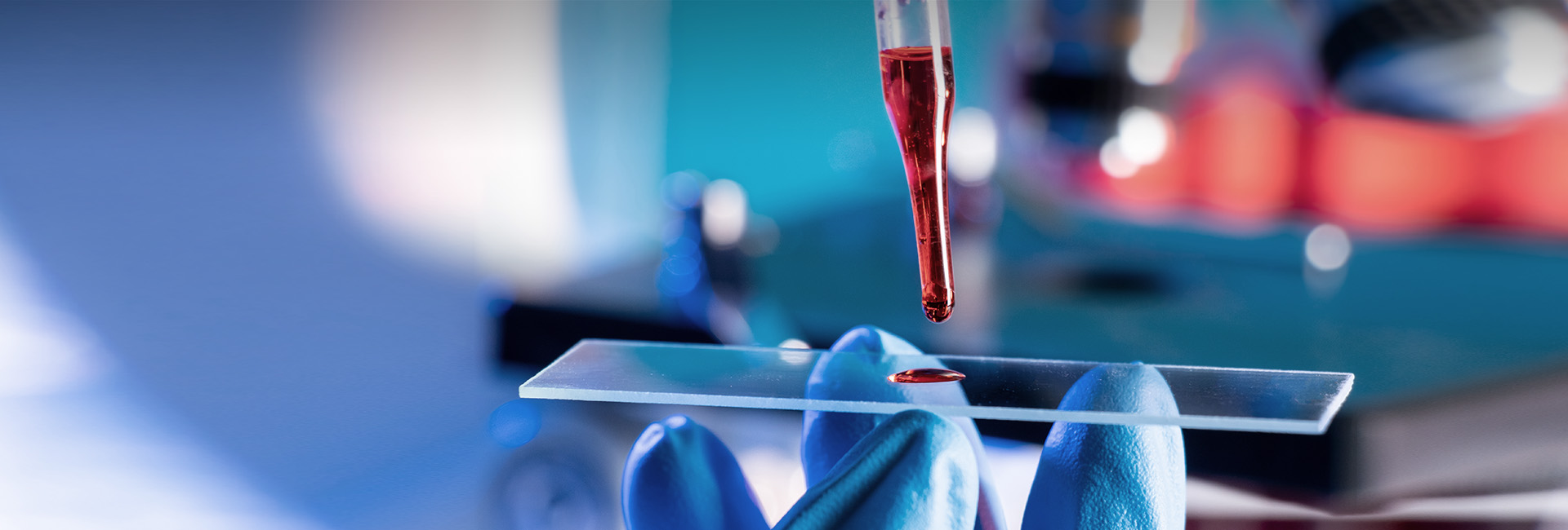 亚洲体育app下载