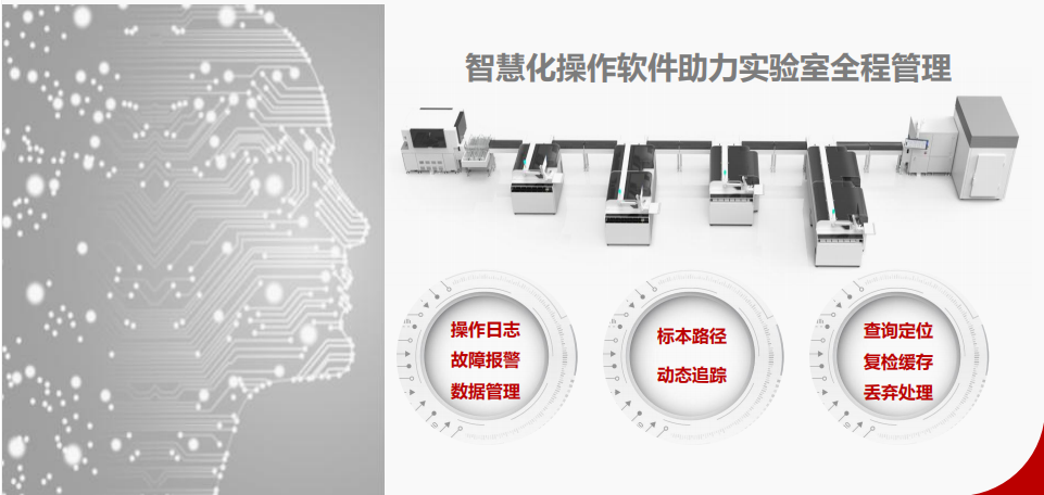 亚洲体育app下载