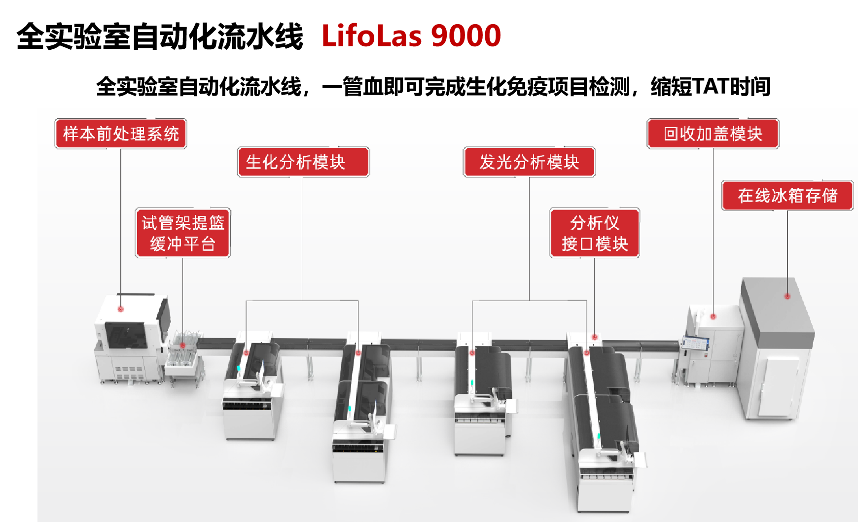 亚洲体育app下载